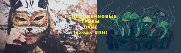 бошки Нея