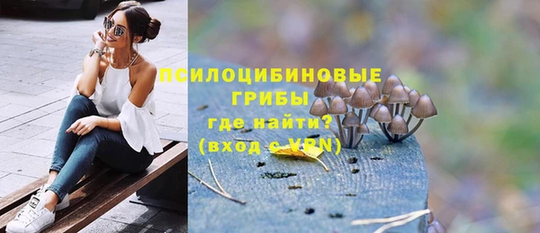 первитин Новозыбков