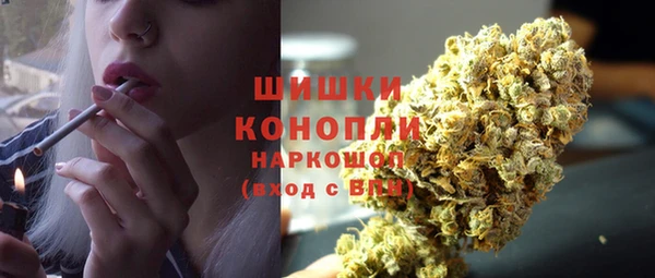 первитин Новозыбков
