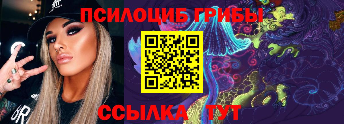 где купить наркотик  Рассказово  Псилоцибиновые грибы Magic Shrooms 